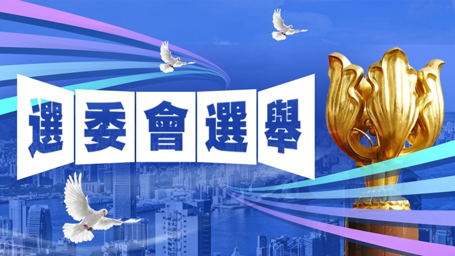 選委會選舉